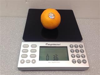 Weight Watchers Diet Electronic Food Scale with PointsPlus Values Da